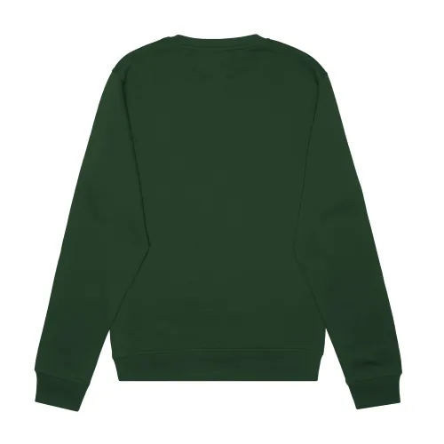 /public/media/1020-forest-green-back.webp