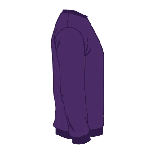 /public/media/1020-purple-sleeveright.webp