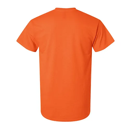 /public/media/2000-orange-back.webp