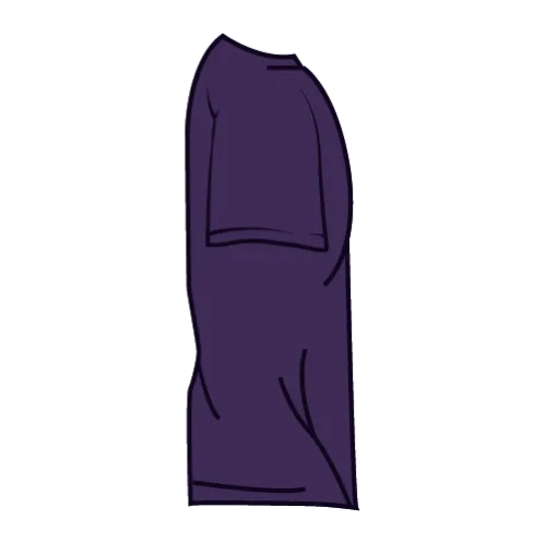 /public/media/2000-purple-sleeveright.webp