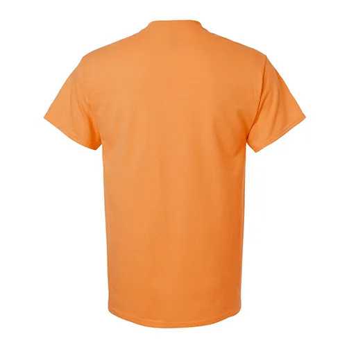 /public/media/2000-tangerine-back.webp