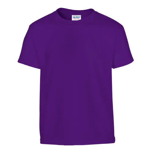 /public/media/200b-purple-front.webp