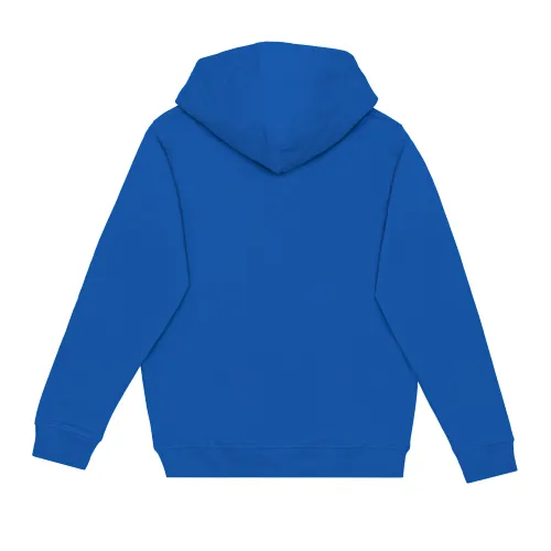 /public/media/2020-royal-blue-back.webp