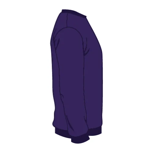 /public/media/3501-team-purple-sleeveright.webp