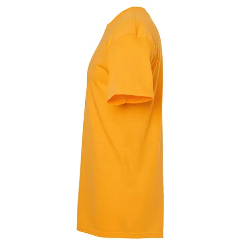 /public/media/4800-gold-sleeveleft.webp