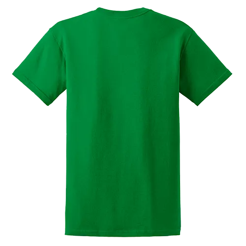 /public/media/5000-irish-green-back.webp