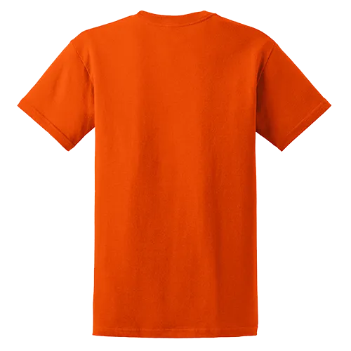 /public/media/5000-orange-back.webp
