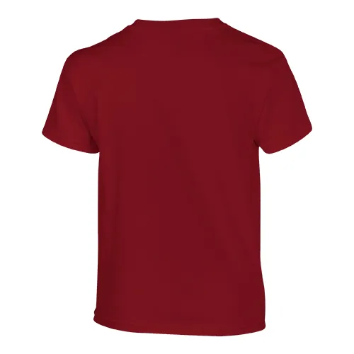 /public/media/500b-cardinal-red-back.webp