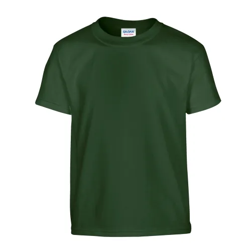 /public/media/500b-forest-front.webp