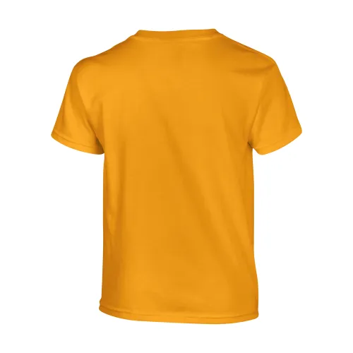 /public/media/500b-gold-back.webp