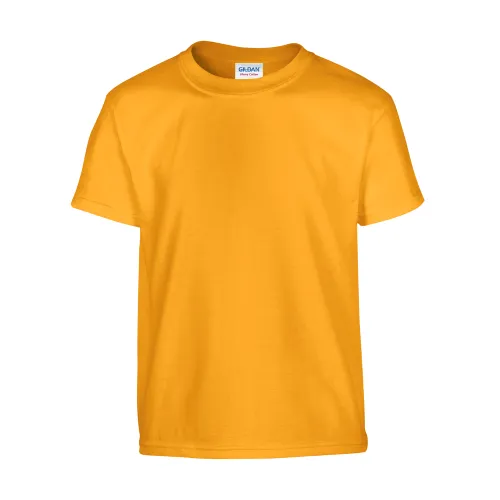 /public/media/500b-gold-front.webp