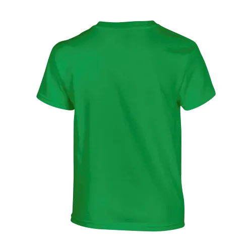 /public/media/500b-irish-green-back.webp
