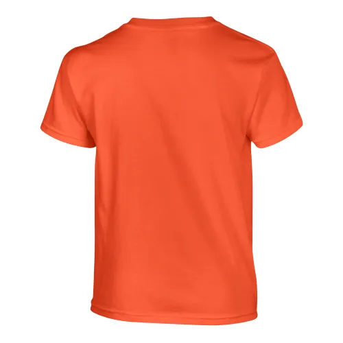 /public/media/500b-orange-back.webp