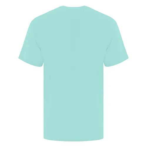 /public/media/atc1000-true-celadon-back.webp