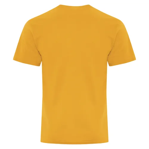 /public/media/atc5050-gold-back.webp