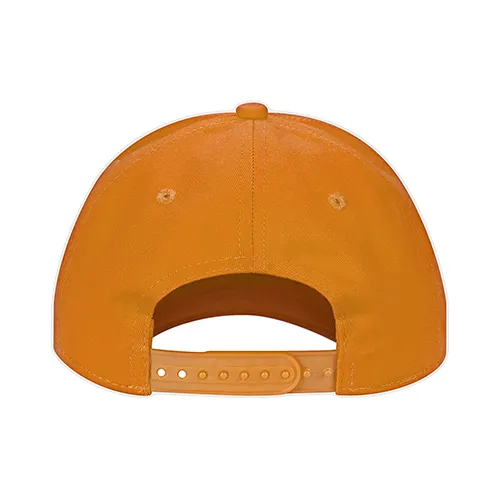 /public/media/h08200-orange-back.webp