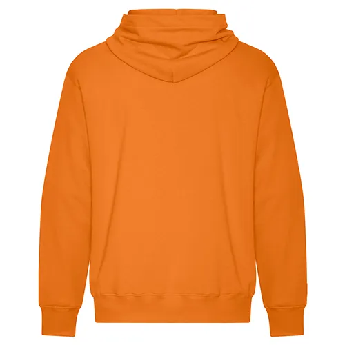/public/media/koi2250-orange-burst-back.webp