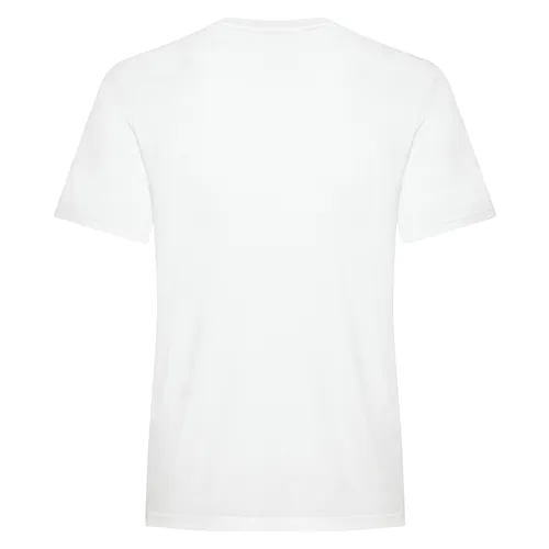 /public/media/koi8050-white-back.webp