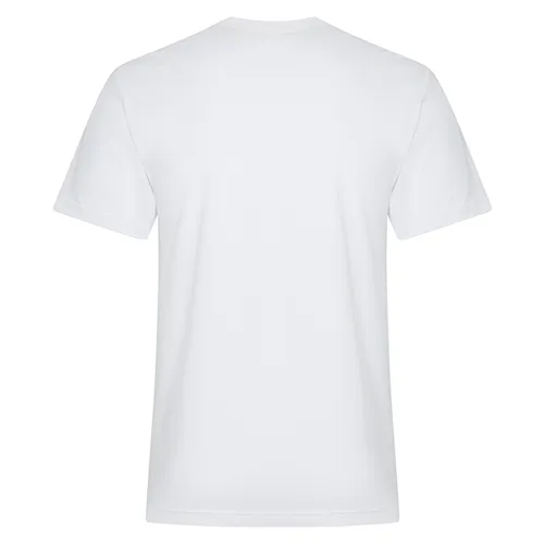 /public/media/koi8060-white-back.webp