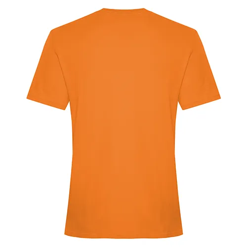 /public/media/koi8070-orange-burst-back.webp