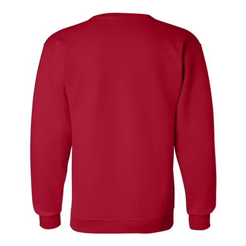 /public/media/s600-scarlet-back.webp