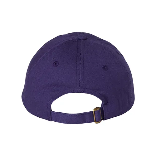 /public/media/vc300a-purple-back.webp