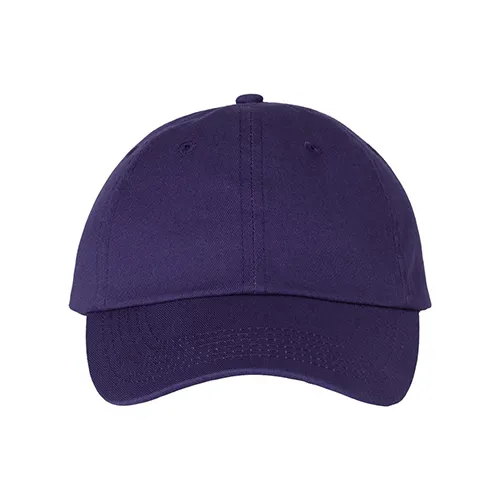 /public/media/vc300a-purple-front.webp