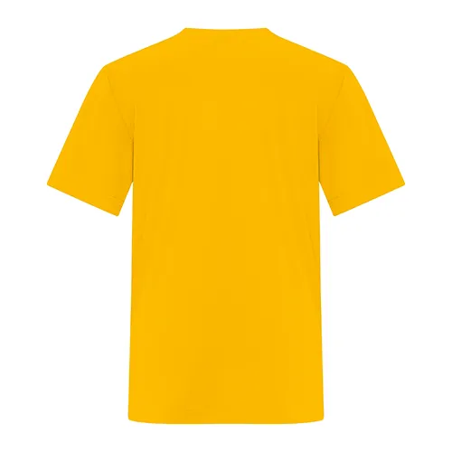 /public/media/y350-gold-back.webp