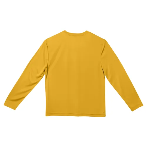 /public/media/y350ls-gold-back.webp